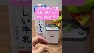 カラフルチョコを牛乳で溶かすと何色になるのか？ #shorts #おもしろ動画 #funnyvideo #やってみた #検証