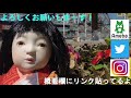 【フエラムネ】星人コーラのフエ星人が欲しい！【コリス】※市松人形開封動画シリーズ