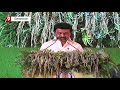 மண்ணையும் மக்களையும் காப்பதில் சளைக்காத திமுக cm mk stalin electricity etv bharat tamilnadu