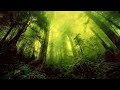 relaxing celtic music to calm the mind harp flute and piano relaxation music