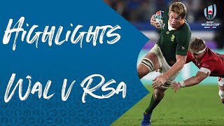 Highlights: Wales 16-19 South Africa - Rugby World Cup 2019