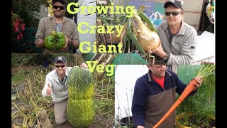 Allotment Diary : I need to grow some Giant Veg again !