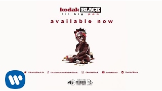 Kodak Black - Slayed (feat. Boosie Badazz) [Official Audio]