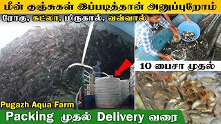 மீன் குஞ்சுகள் இப்படித்தான் Parcel -ல அனுப்புறோம் | Packing முதல் delivery வரை #farmingbusiness