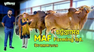 চট্টগ্রামের Maf Farming ltd এ কৃষিকথা । ৭২ হাজার থেকে ১৪ লাখ টাকার গরু পাবেন এই ফার্মে