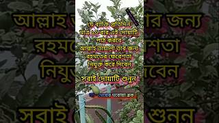 প্রতিদিন মাত্র ১০ বার দোয়াটি পড়ুন #সুবাহানআল্লাহ #দোয়া_ও_আমল #ইসলামিক_ভিডিও #islamicvideo #ytshorts