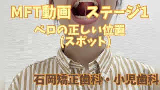 【MFTステージ①ベロの正しい位置スポット】石岡矯正歯科・小児歯科　MFTトレーニング