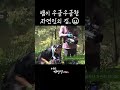 뱀이 우글우글한 자연인의 집..😖 shorts