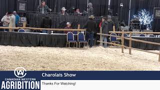 CWA 2023 - Charolais Show