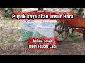 Pupuk Yang Bagus untuk Kelapa Sawit !! NPK Yara mila winner#npk #hargapupuk