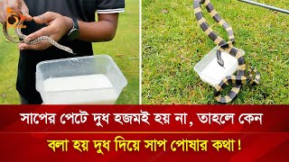 সাপের পেটে দুধ হজমই হয় না! | Nagorik TV Special