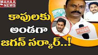 కాపులకు అండగా జగన్ సర్కార్: AP Kapu Corporation Chairman Adapa Sheshu Comments | Mahaa News