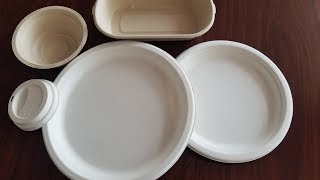 Biodegradable Bamboo Bagasse Pulp moulding Paper Plate Machine