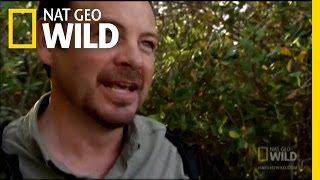Hey, I Got a Python! | Nat Geo Wild