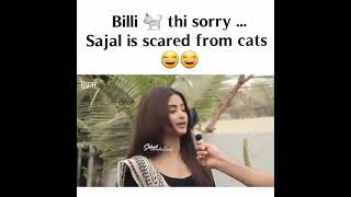 Sajal Aly Is Scared From Cats |Whatsapp Status |