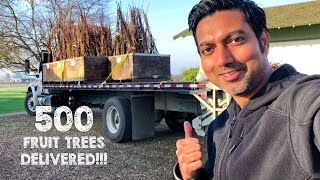 500 Fruit Trees Have Been Delivered