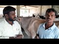 మా కుటుంబం వల్లే నా డైరీ ఫామ్ సక్సెస్ ravi kumar dairy farm ravichedu mallesh adla