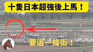 10匹日本超強後上馬！可能勁過巴基之星！