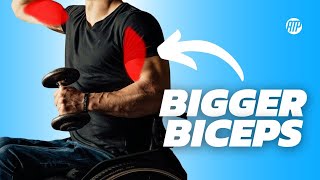 How to Build Big Biceps as a Wheelchair User (Optimal Training)