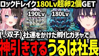 社運をかけた高LVロックドレイクの孵化ガチャで神引き(双子)する豪運うるは社長【ぶいすぽっ!/一ノ瀬うるは】