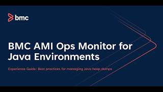 BMC AMI Ops Monitor for Java Environments