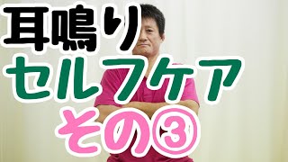 【耳鳴り　セルフケア③】東京都　目黒区　自律神経　自律神経の乱れ　自律神経失調症　整体　西小山　武蔵小山　 慢性疲労　頭痛　耳鳴り　めまい　腰痛　不眠　パニック障害　更年期  不安　/原町接骨院