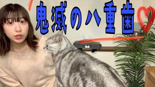 【鬼滅の刃】きめつたまごっち予約開始！かわえええええええ【軟骨ニュース】