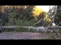 GDOT Crews Clear Trees from Roadway