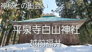 神秘的な世界#平泉寺白山神社#雪化粧#友さんぶらり旅、2月21日にまほろばの里の雪化粧した平泉寺を見て来ました。