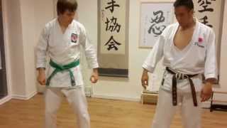 Ryan Hayashi - Karate Video Lesson #26 - Yoko Geri Keage (Side Snap Kick)