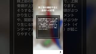 棘上筋〜学生・新人理学療法士、作業療法士のためのスキルアップガイド〜 #勉強 #リハビリテーション #リハビリ国家試験