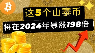 这5个山寨币将在2024年暴涨198倍，其中第四个我最看好，估计有300倍涨幅！分享这个星球上最伟大的逆袭方法，非常干货实用