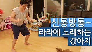 [김창옥의 이런십장생]신통방통! 라라에 노래하는 강아지