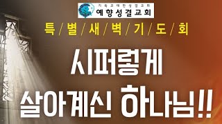 예향교회 특별새벽기도(8.28)