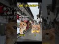 老板：還以為要破產了丨網友神評：瞅你那點出息 貓meme 搞笑 幽默 funny cat 段子 萌宠 memes cute animals