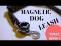 Zstar-China | Magnetic Dog Leash | TakeApart | 4K