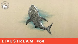 Drawing a Shark in Pen & Ink - LiveStream #64