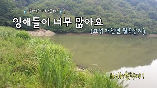 3분체크 고성 개천면 월곡상지 - Hello월척씨 !