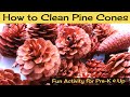 How to Clean, De-Bug and Open Pine Cones for Crafting and Decorating!