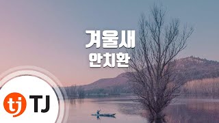 [TJ노래방] 겨울새 - 안치환 / TJ Karaoke