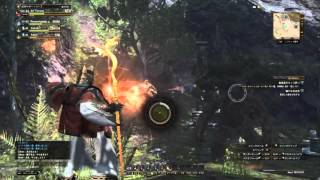 [DDON] ディナン深層林　エント　周回