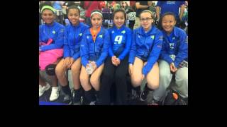 Knockout volleyball Regionals in Houston