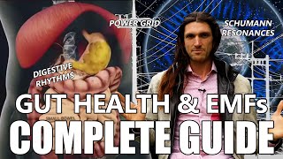 GUT HEALTH and ELECTROMAGNETIC FIELDS - begin healing today