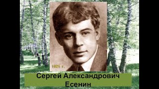 238 В Ю. Стих (С.Есенин). Я последний поэт деревни. Исполняет Волуев И.В.