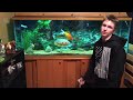 135 gallon fish tank