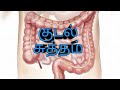 குடல் சுத்தம் || Intestinal Cleaning ||Reema Acupuncture Tv || Tamil ||