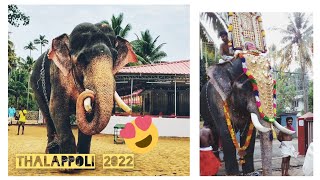 Thalappoli 2022 | Nayarambalam Rajashekaran |🤩🤩🤩😍😍