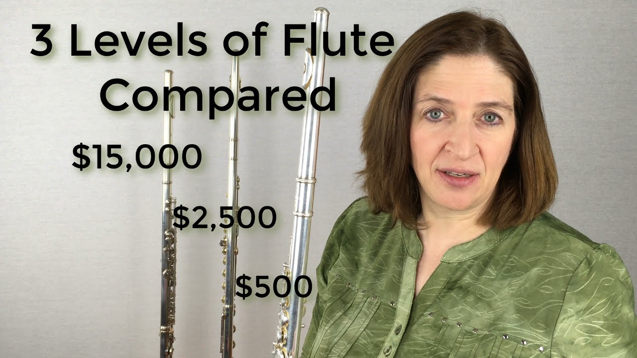 Flute Beginner Vs Pro At Ali Winston Blog