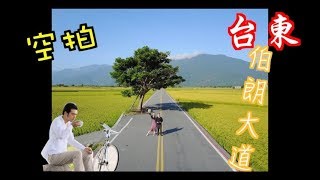 【空拍台東】台東│伯朗大道│金城武樹│空拍