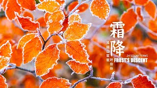 补冬不如补霜降？什么道理？Frost’s Descent